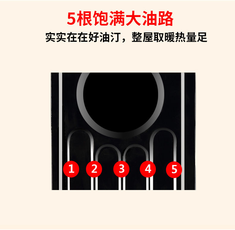 扬子电热油汀取暖器家用节能速热省电暖气片机烤火炉落地浴室孕婴