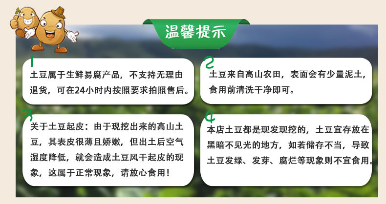 四川高山黄心土豆蔬菜类马铃薯小洋芋新鲜蔬菜小土豆批发3/5/9斤