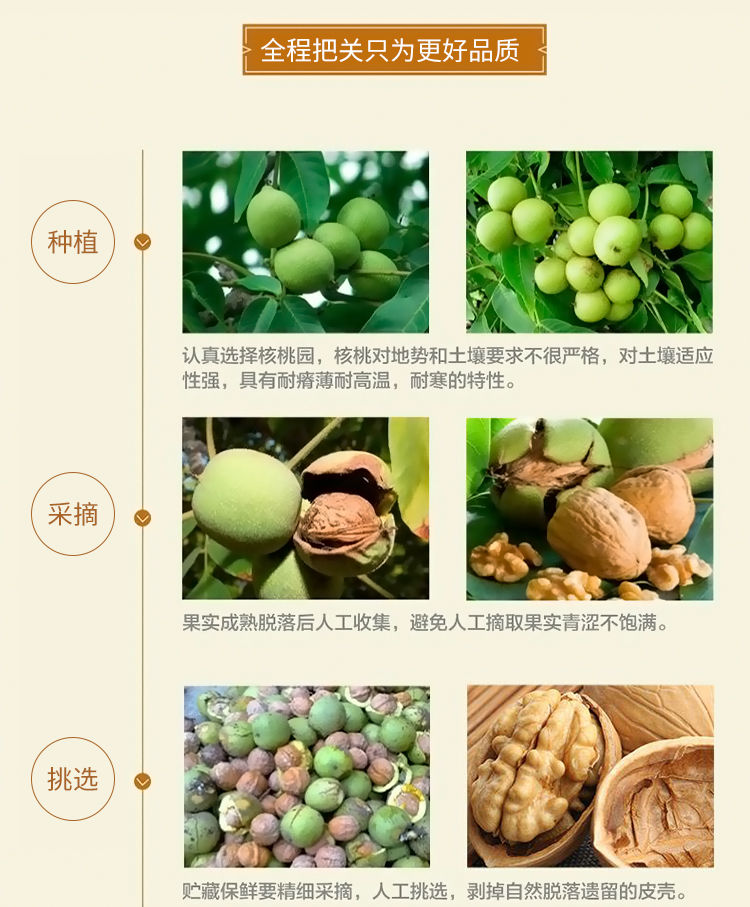 椒盐味纸皮核桃薄皮正宗新疆阿克苏1/5斤零食坚果生核桃批发