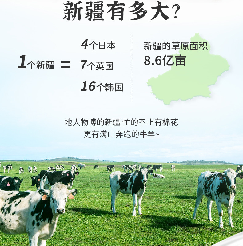 7月生产日期 千初新疆纯牛奶早餐奶200ml*12/箱