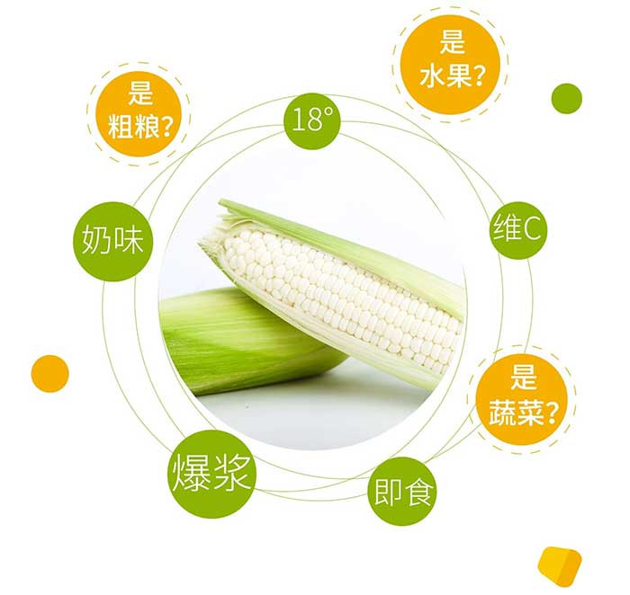 【龙海馆】2根体验装！漳州龙海爆浆水果玉米