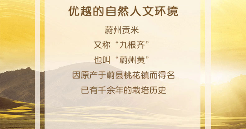 金龙鱼蔚州贡米400g/袋 粗粮黄小米粥 新米黏黄米2019粮食小米粒