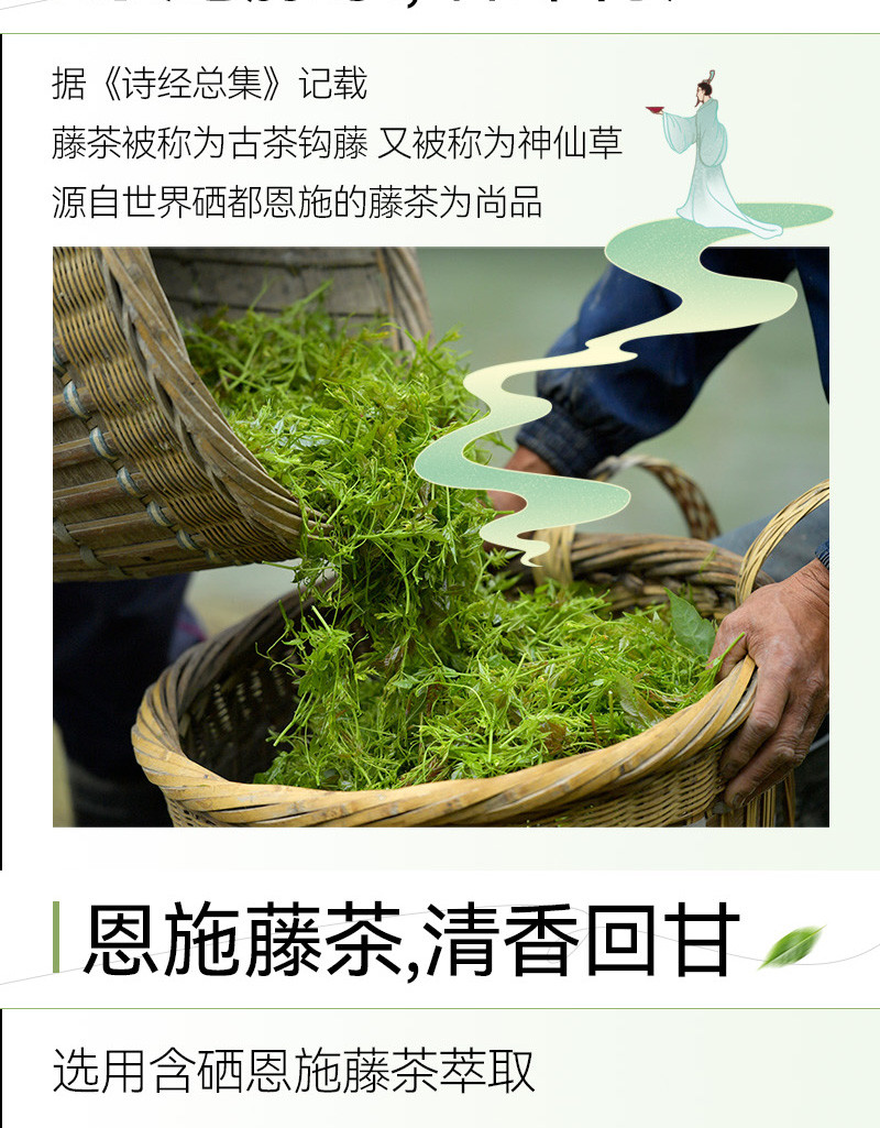 六口茶 恩施特色茶饮无糖茶果味茶整箱装