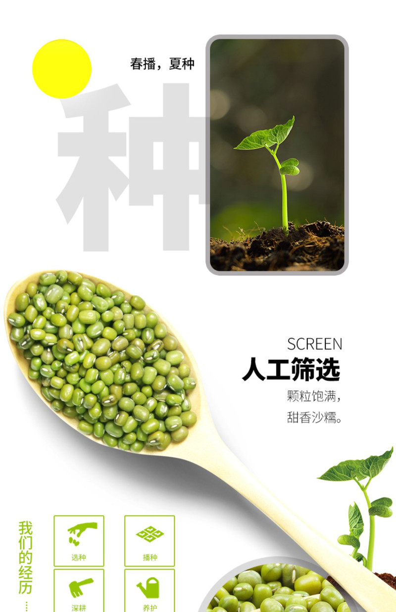 九鲤湖 江西特产新鲜农家绿豆500g（新人福利）