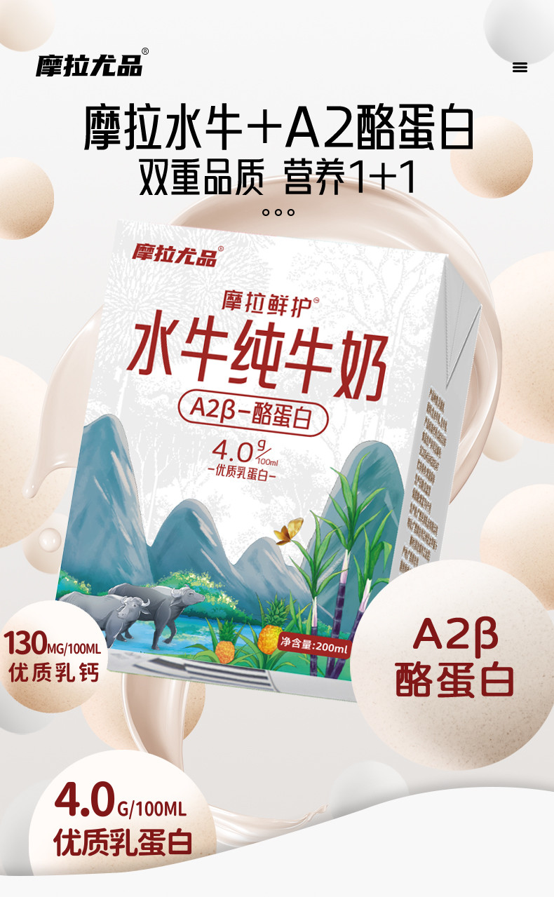 西域春 【苍南特产】摩拉优纯 A2β酪蛋白水牛纯牛奶 4.0g蛋白