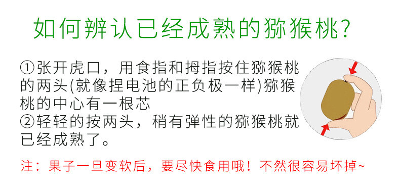 新鲜应季水果陕西周至珍品徐香猕猴桃30枚