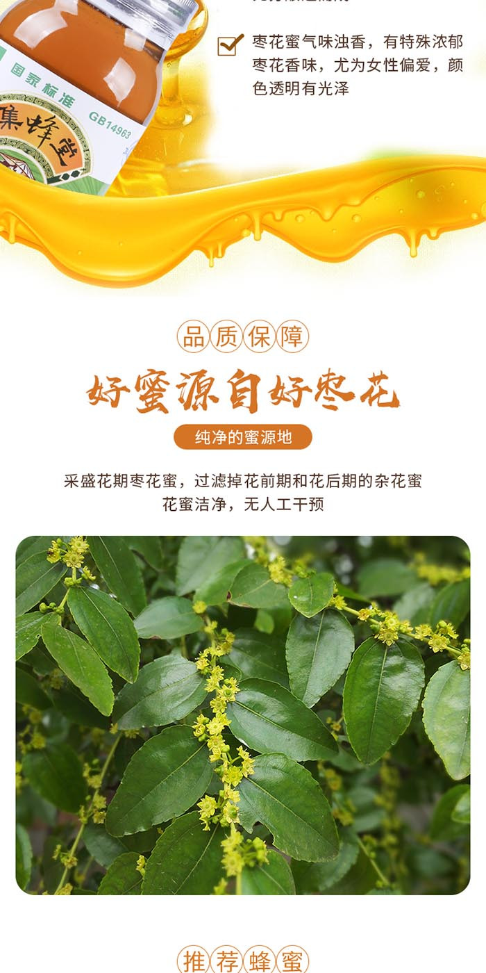 集蜂堂 【天天农品】湖北随州市 集蜂堂洋槐蜂蜜 1000g/瓶 全国包邮纯天然蜂蜜