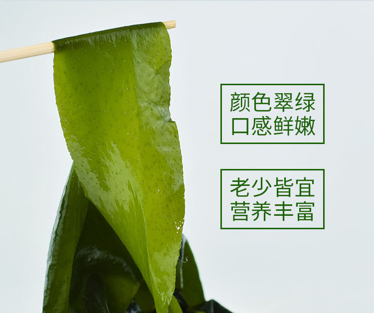 百仙岛 盐渍裙带菜5斤  整箱发货 火锅食材凉拌菜