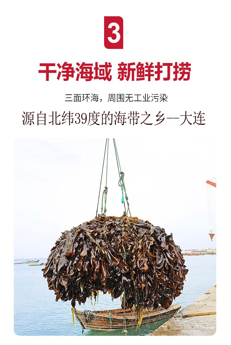 百仙岛盐渍小海带海白菜海带边裙带菜海带丝海带结海鲜批发火锅配菜凉拌菜5斤整箱发货