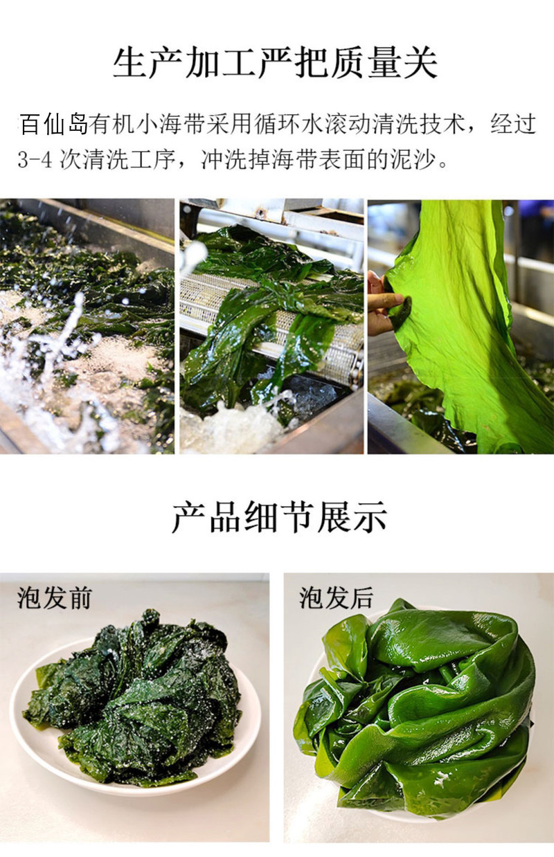 百仙岛 整颗海带5斤整箱发货海带丝海白菜火锅配菜凉拌菜下酒菜海鲜小菜