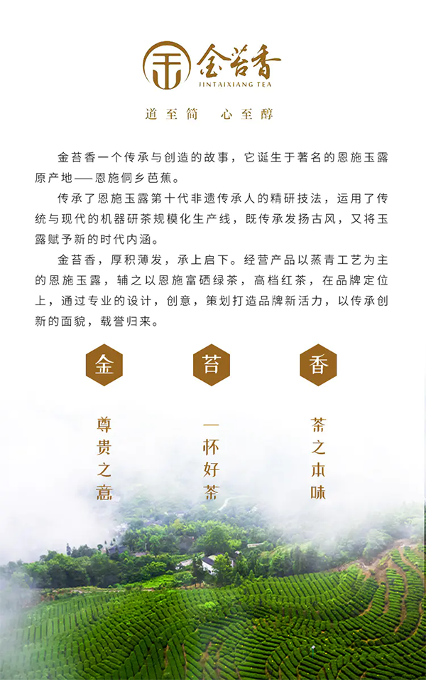 金苔香-恩施玉露 罐装 125克 传承古法，采用蒸青杀青工艺研制 绿茶