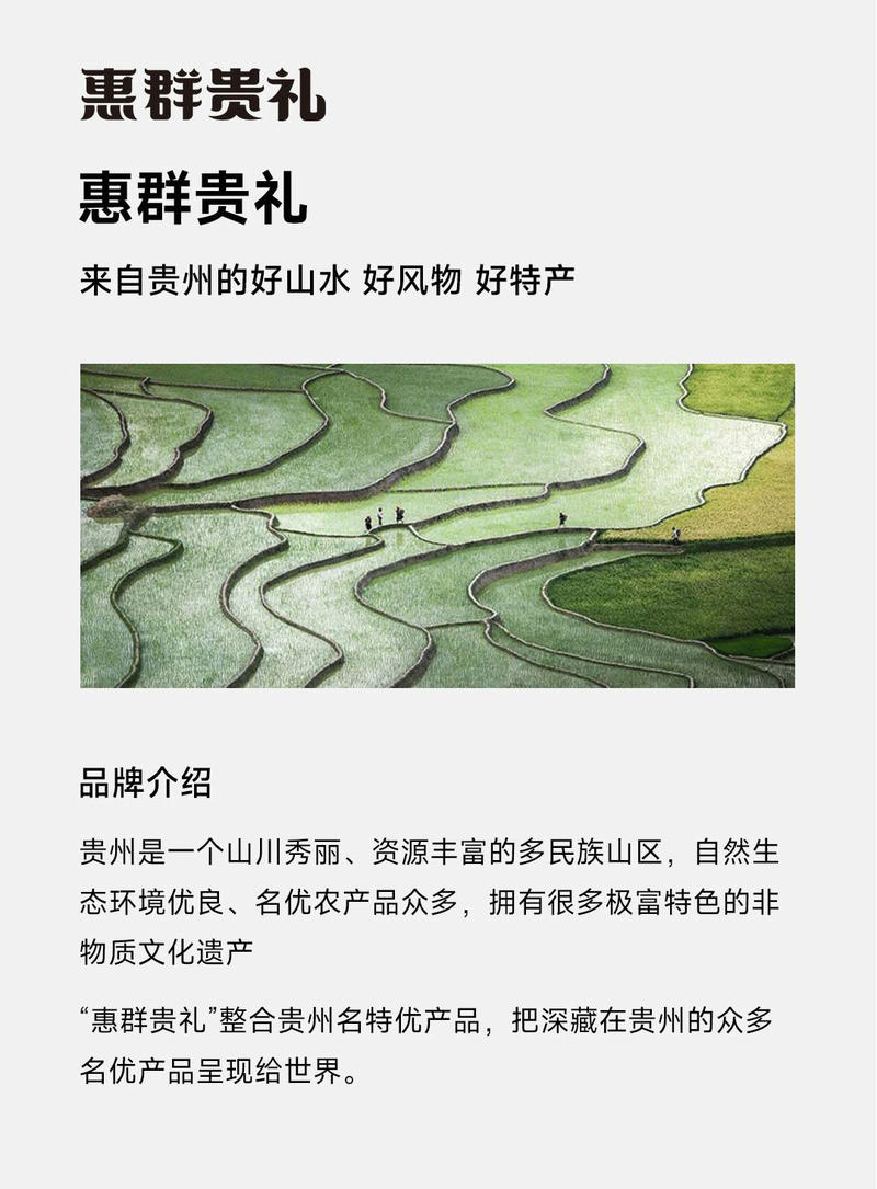 惠群贵礼 53度飞天茅台 酱香型白酒 文创方巾礼盒