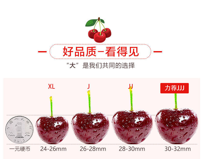 福运祥 【精选果】智利车厘子进口应季新鲜水果大樱桃车厘子大果孕妇小孩冷链运输【优乐购】