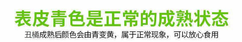 【果园直发】云南高山丑橘5斤中大果（果径75mm以上)应季新鲜水果包邮