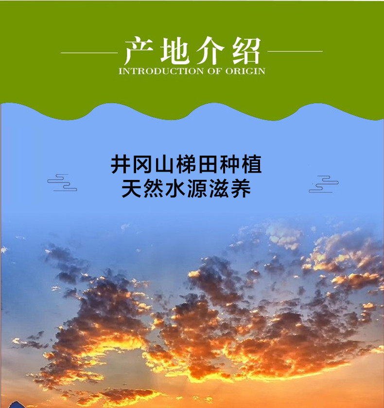 琴联野香米小包装10斤充氮保鲜江西井冈山大米长粒香米当季新米包邮  正常发货