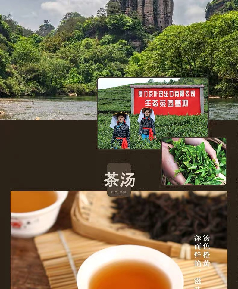 中茶牌 中茶海堤特级大红袍 乌龙茶 特级浓香型 400g 罐装