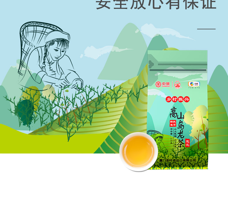 中茶牌 海堤乡村振兴精准扶贫茶高山乌龙茶150g