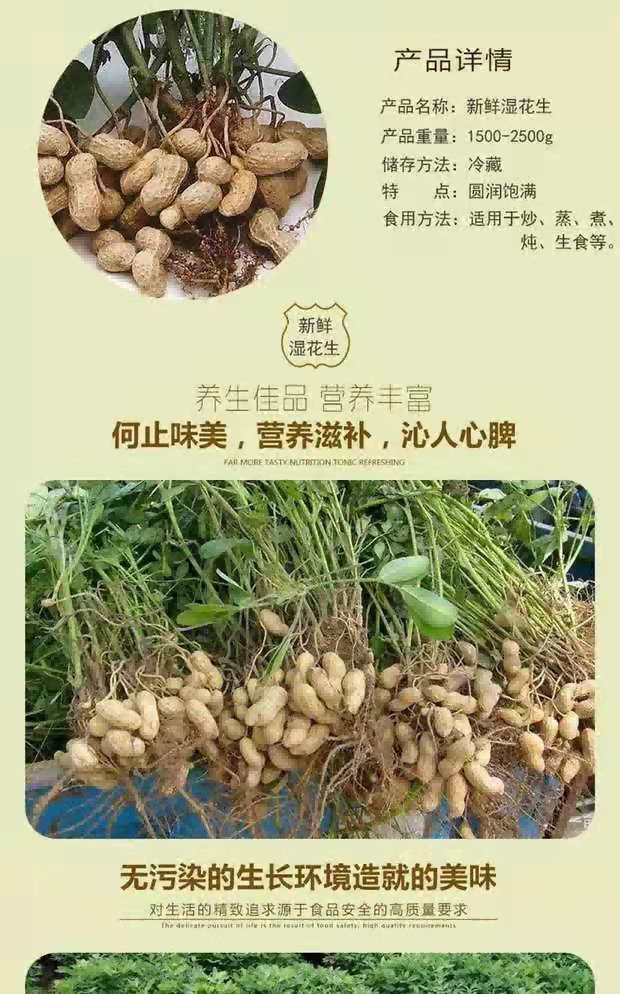 咯噔 【锦邮振兴馆】邮政锦州农品 义县新鲜带壳湿花生（1斤试吃装）