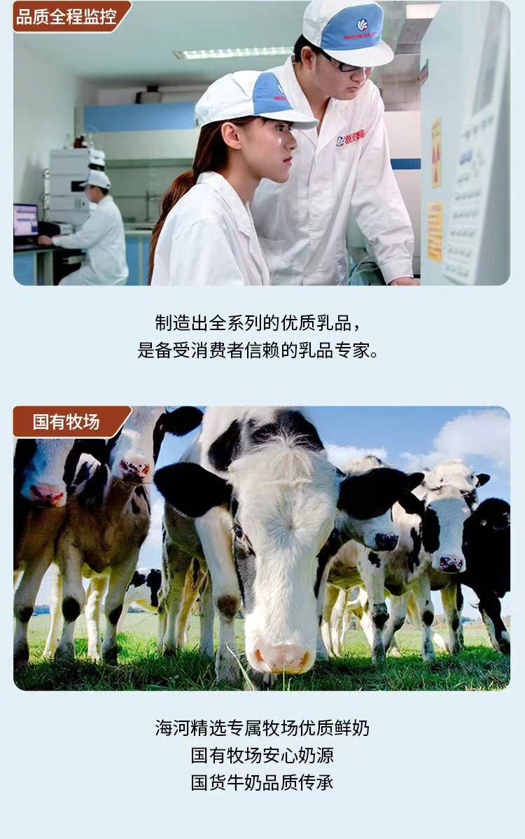 海河 牛奶 可可味220ml/袋 新鲜日期国有牧场