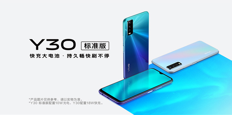 vivo Y30标准版 5000mAh大电池 疾速侧面指纹解锁 4G全网通智能手机