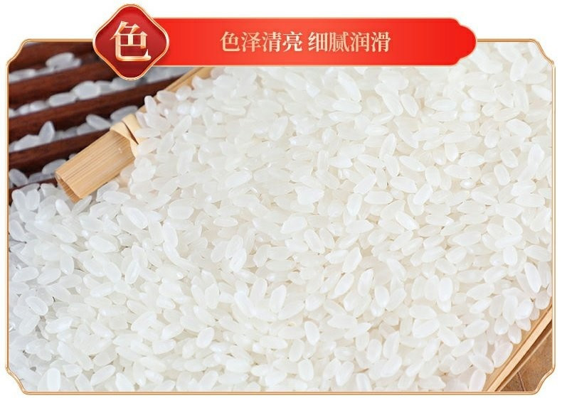 小站稻 【邮政津南馆】日思牌小站稻优选1Kg