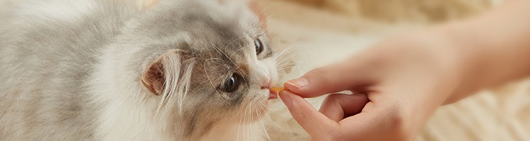 【网易严选】肉香浓郁，鸡肉金针软丝（猫用）猫零食