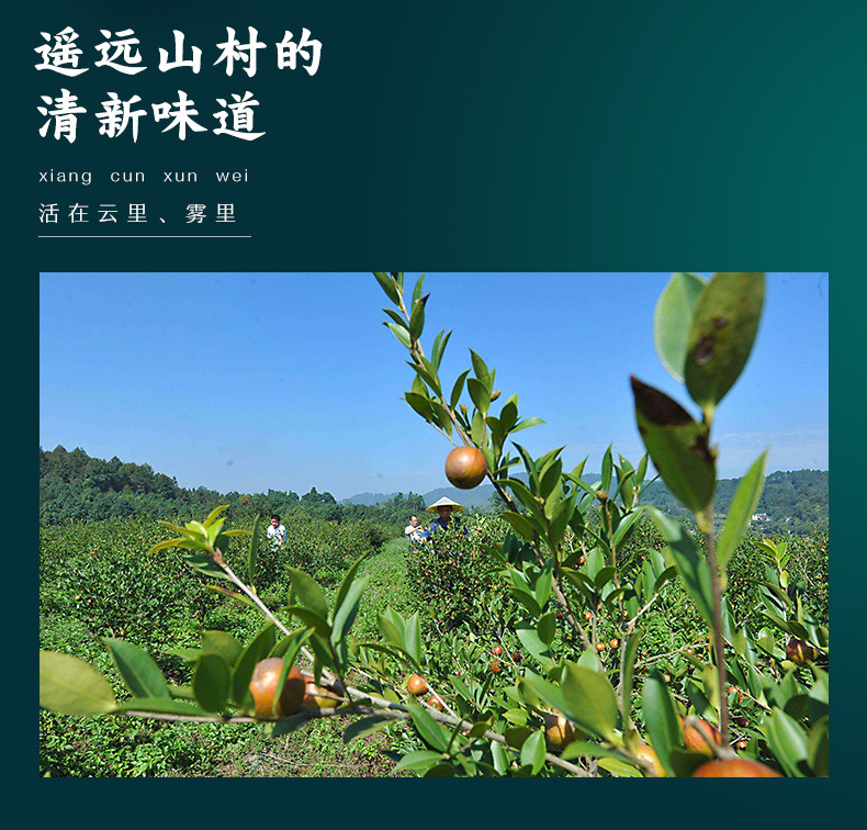 老俵情 江西纯正山茶油 物理压榨 2L