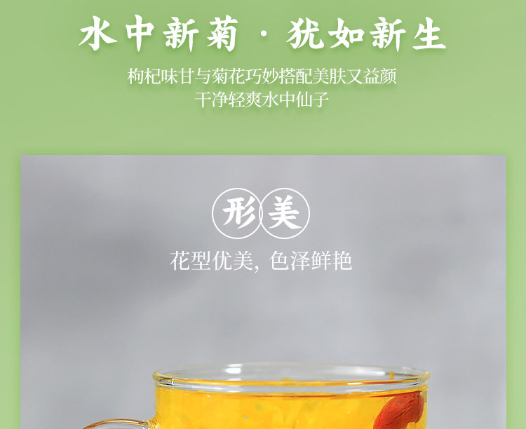 【积分商城】老俵情 修水皇菊 一朵一杯 精品盒装  12朵/盒