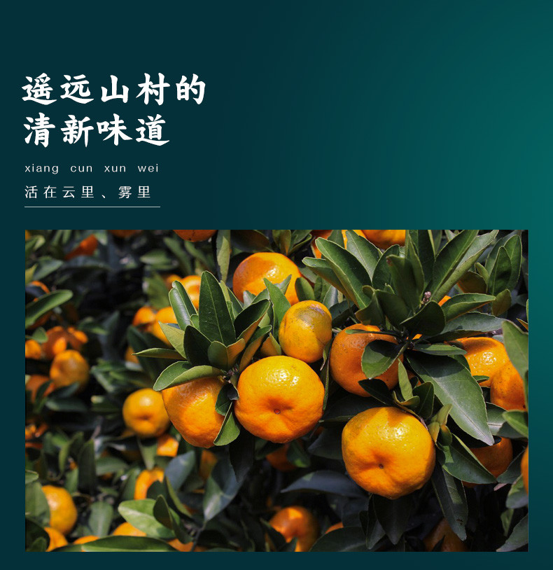 寻味江西 南丰蜜桔 皮薄多汁 酸甜爽口2斤（特级果精品礼盒装）