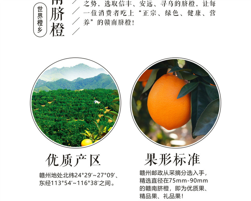 【年货节 券后49.9元】寻味江西 赣南脐橙 精品果 现摘现发 10斤装（果径70-75mm）