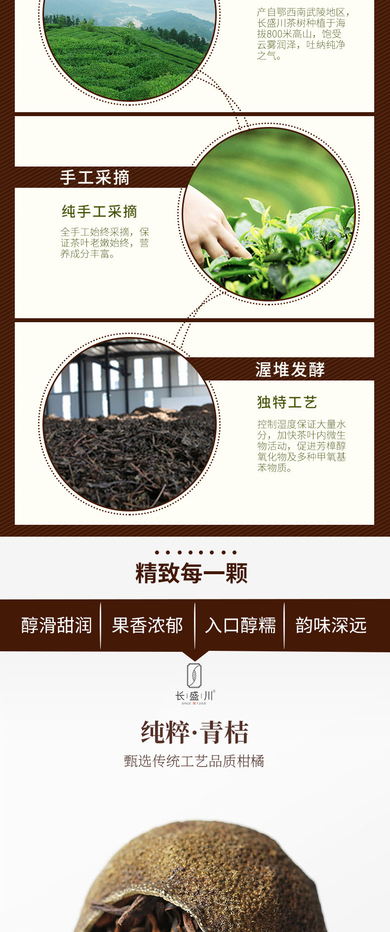 小青柑青桔茶青柑茶 长盛川湖北青砖茶黑茶小青橘茶叶8颗三峡特产