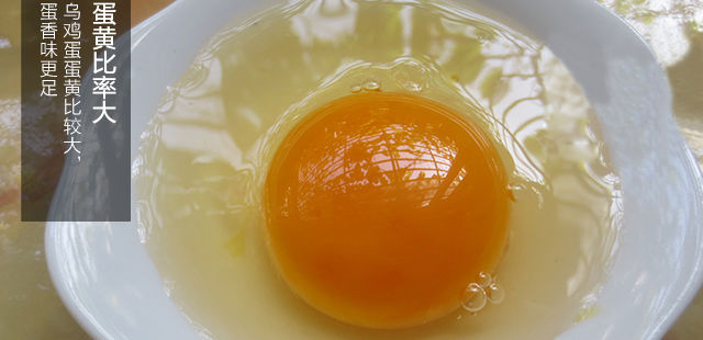【绿壳鸡蛋50枚】山林散养乌鸡蛋新鲜绿壳蛋农家土鸡蛋一箱装草鸡蛋特产柴鸡蛋【小度美食】