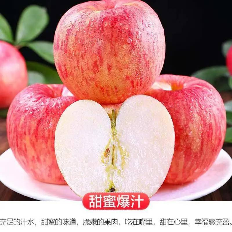 【9斤大果】红富士苹果水果新鲜当季水果整箱脆苹果特大果5/6/9斤装【大牛美食】