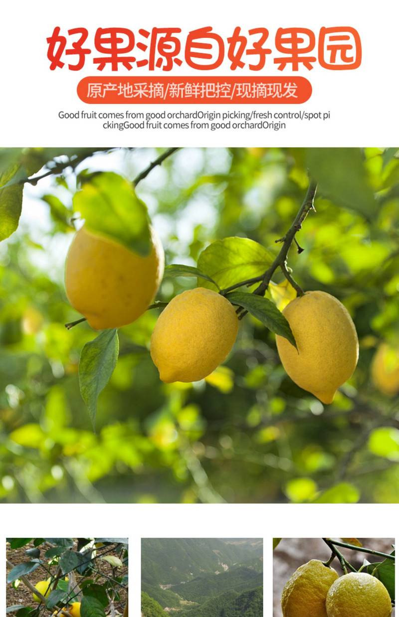【安岳黄柠檬】四川黄柠檬当季新鲜水果皮薄水果皮薄香水鲜甜黄柠檬【小度美食】