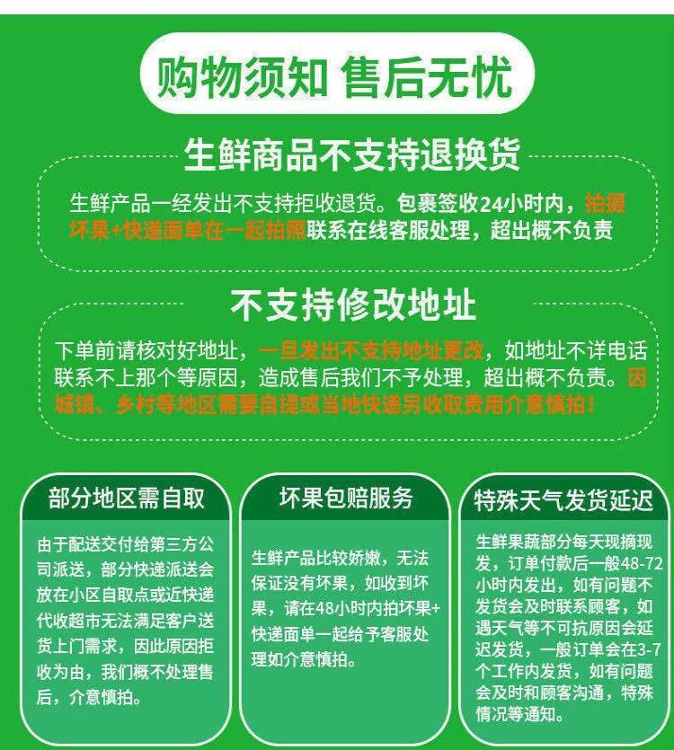 【现货速发】攀枝花凯特大芒果新鲜水果现摘四川凯特芒整件包邮【小度美食】