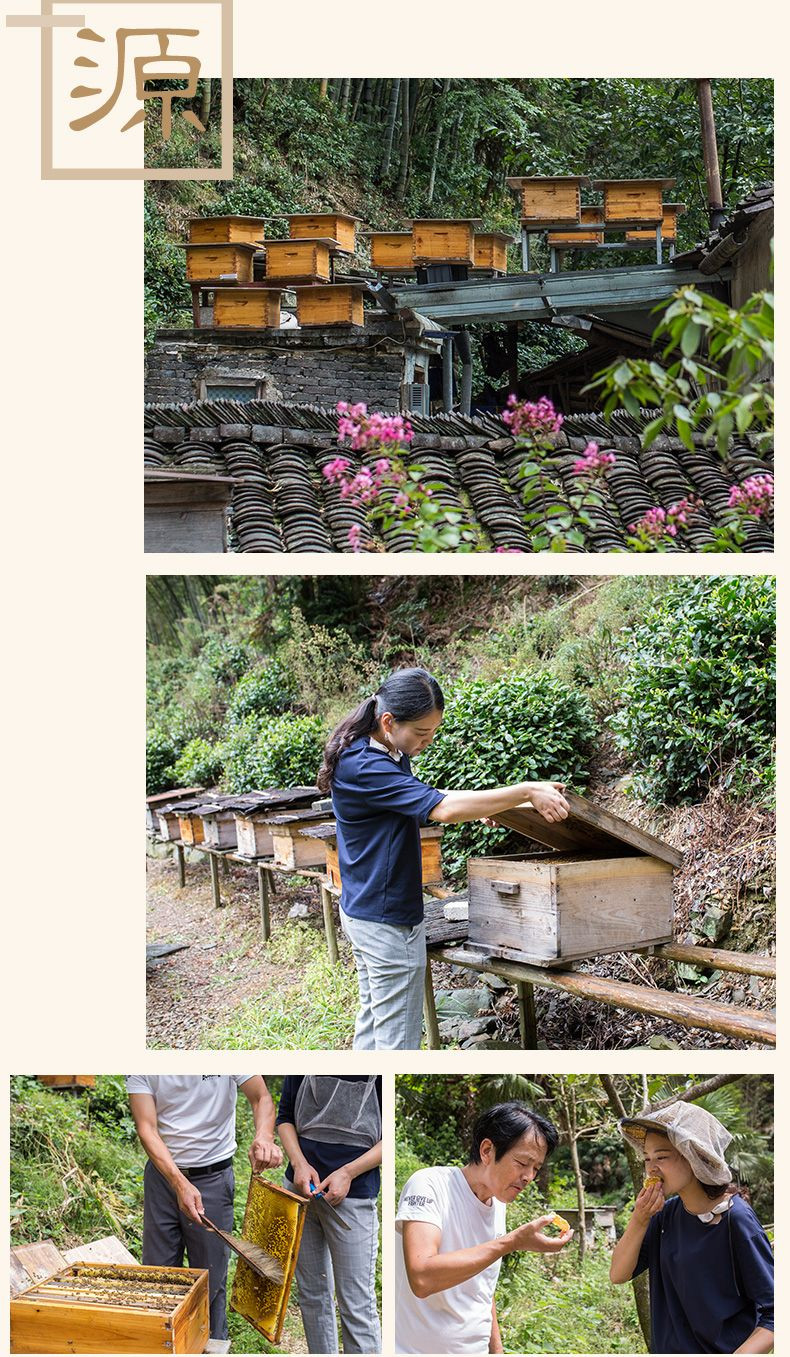 白荡里 九华山山林野花蜂蜜 百花蜂蜜 1000g