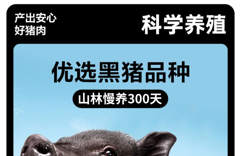 白荡里黑猪鲜肉包酱肉包 儿童学生方便速食早餐包子1kg