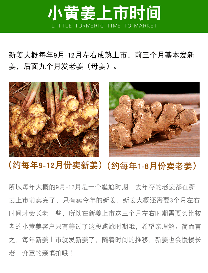 云南小黄姜新鲜蔬菜现挖新姜生姜月子姜调味小黄姜批发新姜批发