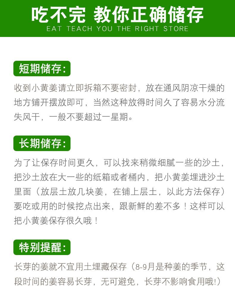 云南小黄姜新鲜蔬菜现挖新姜生姜月子姜调味小黄姜批发新姜批发