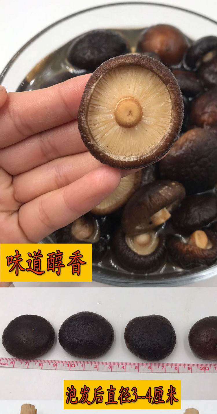 【古田小香菇】特级精选野生金钱香菇100g可泡发552g剪脚无根冬菇孕妇儿童放心吃农家特产花菇干货