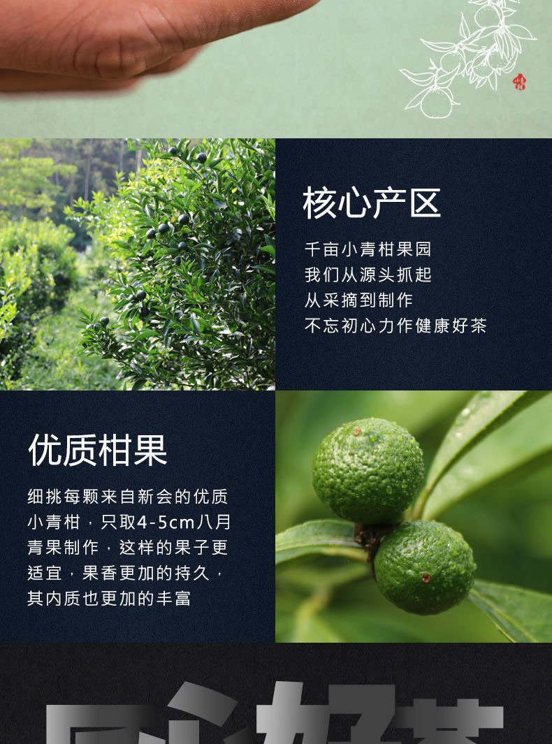 【送礼佳品】正宗新会小青柑普洱茶叶陈皮正宗宫廷柑普茶熟茶木桶礼盒装