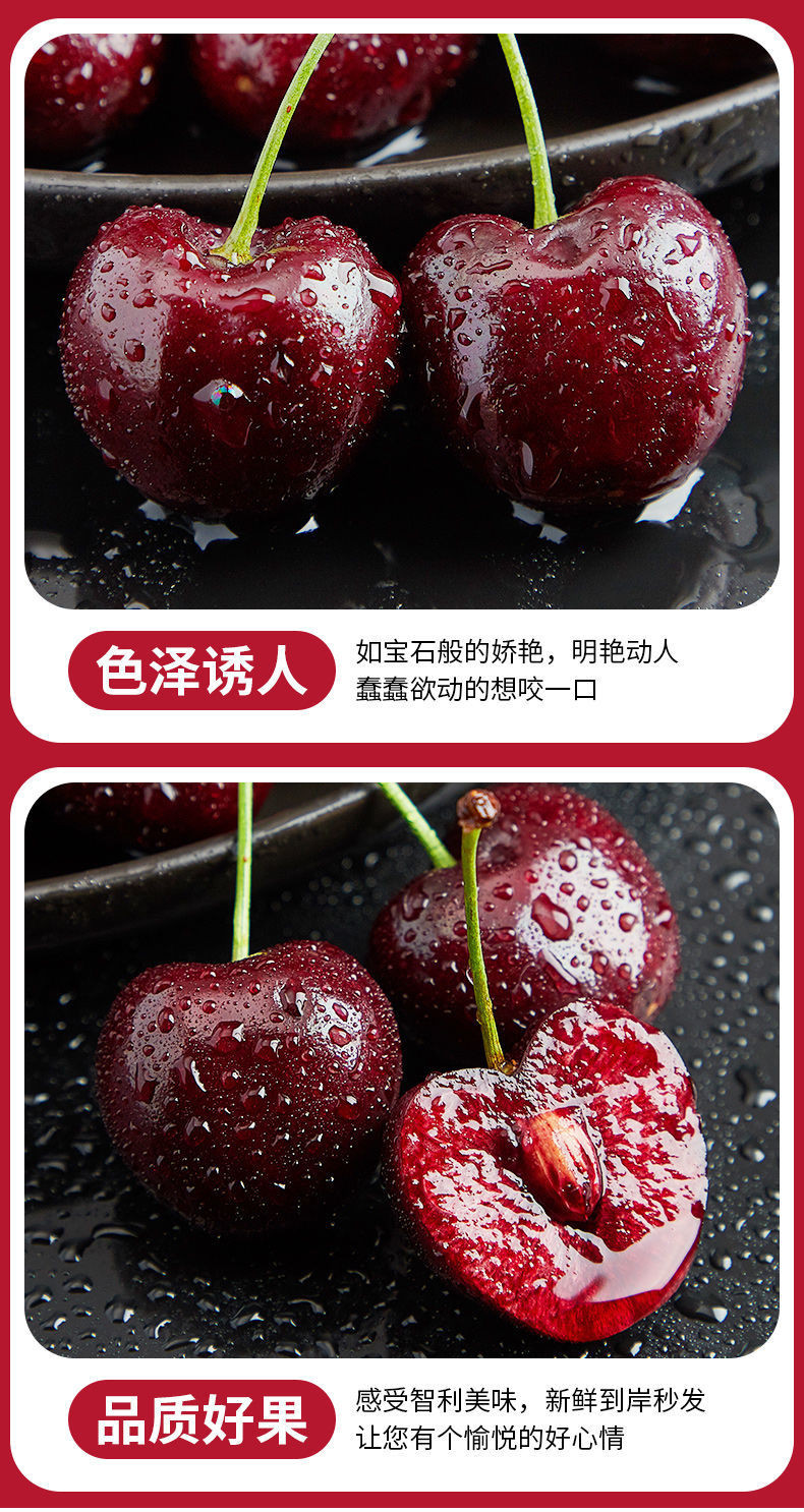 【精选果-冷链发货】智利进口车厘子新鲜大樱桃水果应季当季时令孕妇水果1斤2斤/3斤装