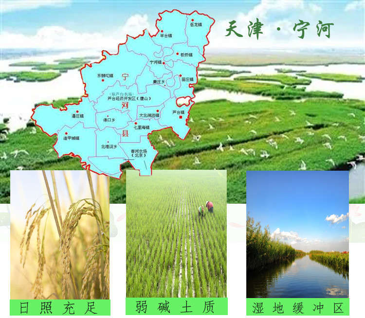 爱带米 【天津邮政】“小站稻米”1Kg