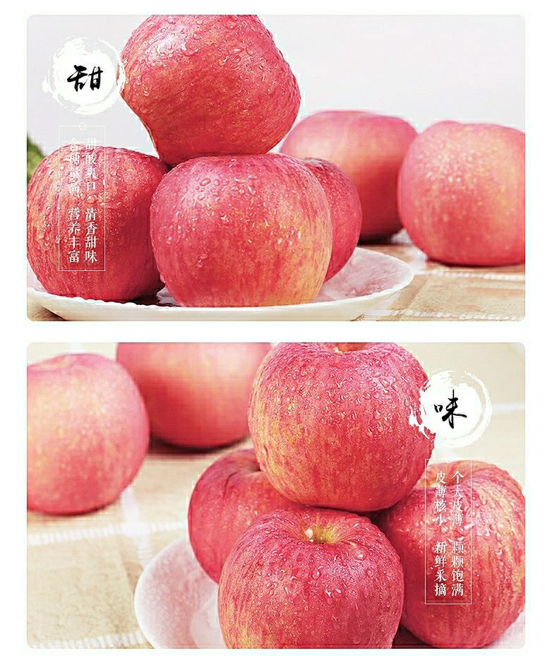 【元旦美食】陕西应季红富士苹果批发现摘现发当季新鲜脆甜苹果水果整箱包邮【飞哥1.1】