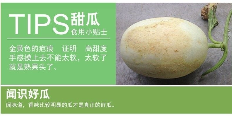 玉菇甜瓜蜜瓜10斤新鲜水果批发当季脆玉茹香瓜哈密瓜羊角蜜2/5斤【飞哥美食】