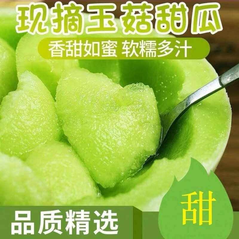 玉菇甜瓜蜜瓜10斤新鲜水果批发当季脆玉茹香瓜哈密瓜羊角蜜2/5斤【飞哥美食】