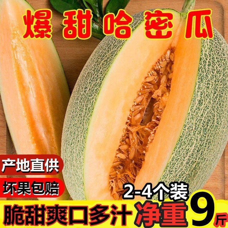 新疆哈密瓜10斤当季新鲜水果脆甜网纹蜜瓜应季小香瓜整箱5斤只做精品【飞哥美食】