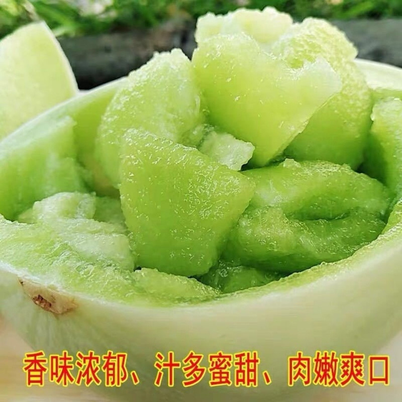 玉菇甜瓜蜜瓜10斤新鲜水果批发当季脆玉茹香瓜哈密瓜羊角蜜2/5斤【飞哥美食】