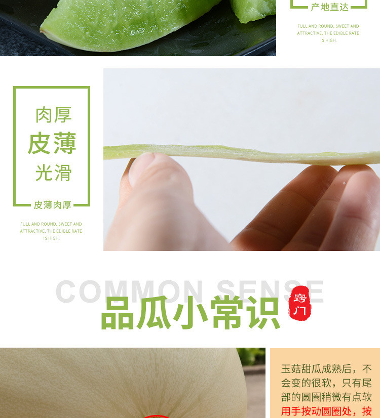 只做精品现摘上海南汇玉菇甜瓜水果新鲜香瓜应季绿哈密瓜蜜瓜2/5/10斤【飞哥美食】