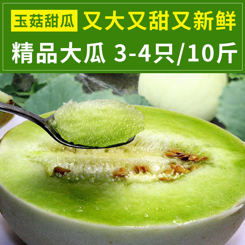 只做精品现摘上海南汇玉菇甜瓜水果新鲜香瓜应季绿哈密瓜蜜瓜2/5/10斤【飞哥美食】